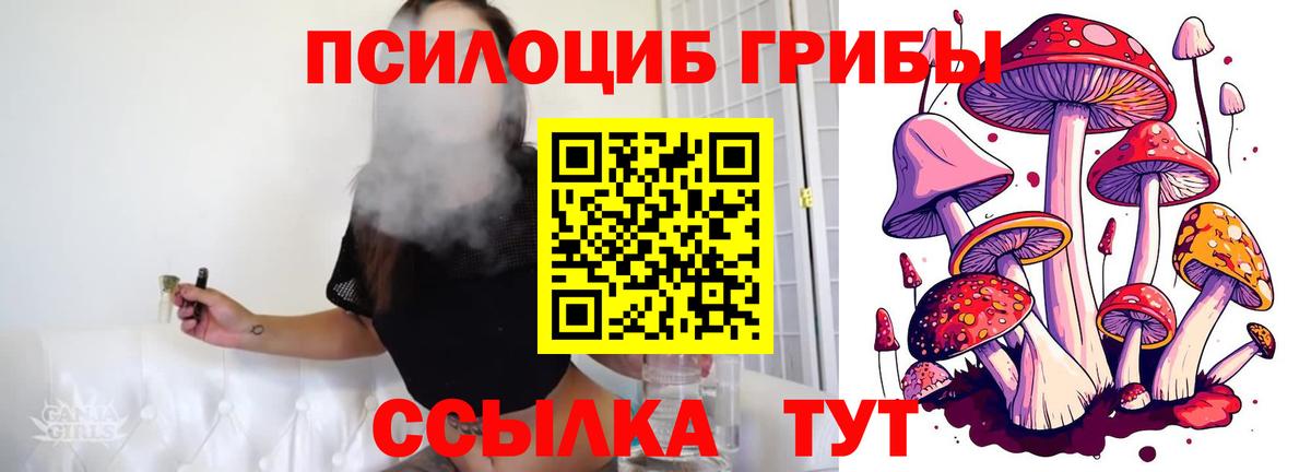 Галлюциногенные грибы Magic Shrooms  Вход с VPN  Галлюциногенные грибы MAGIC MUSHROOMS  Верхняя Пышма 