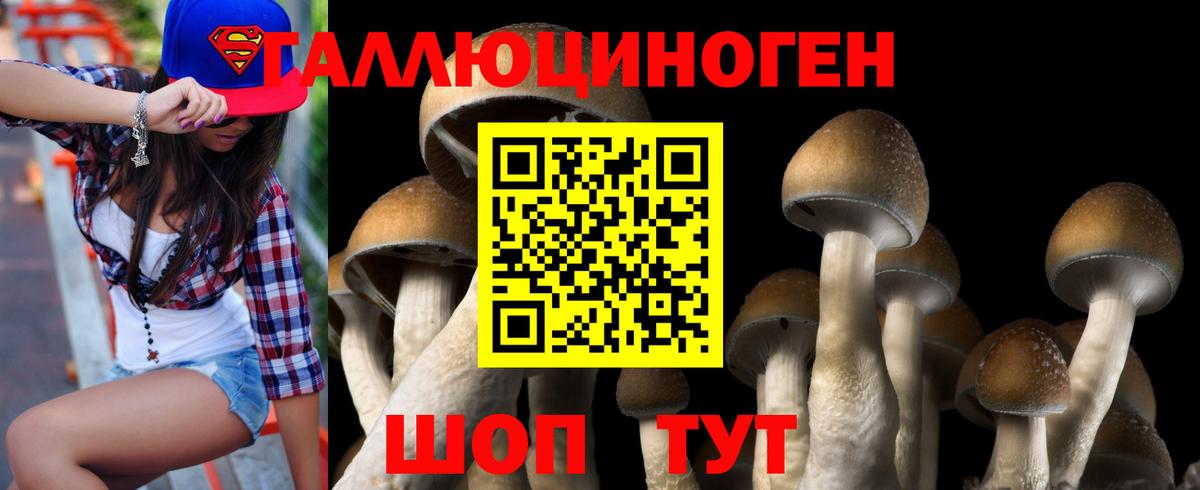 Галлюциногенные грибы MAGIC MUSHROOMS Верхняя Пышма